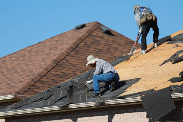 Best Roof Maintenance and Cleaning  in Auberry, CA